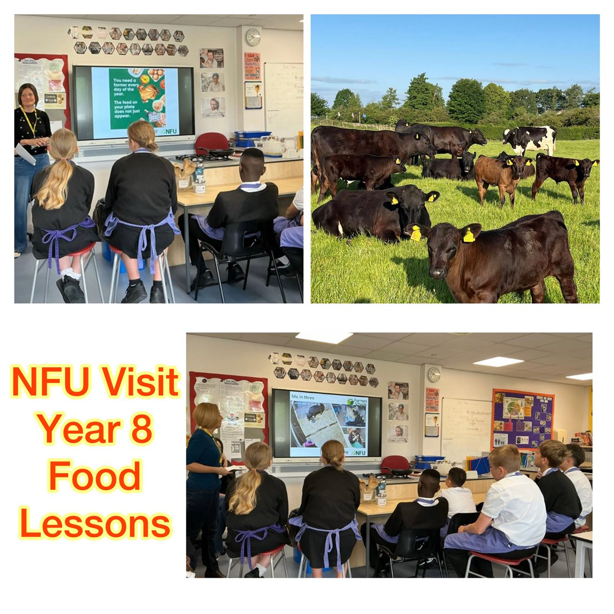 🐄 Our Year 8 Food students had a fantastic visit from @nfuNorth farmers Helen &amp; Emma! They loved learning all about life as beef &amp; dairy farmers – the perfect link to our Farm to Fork topic. #FoodEducation #FarmToFork #NFU #RealWorldLearning