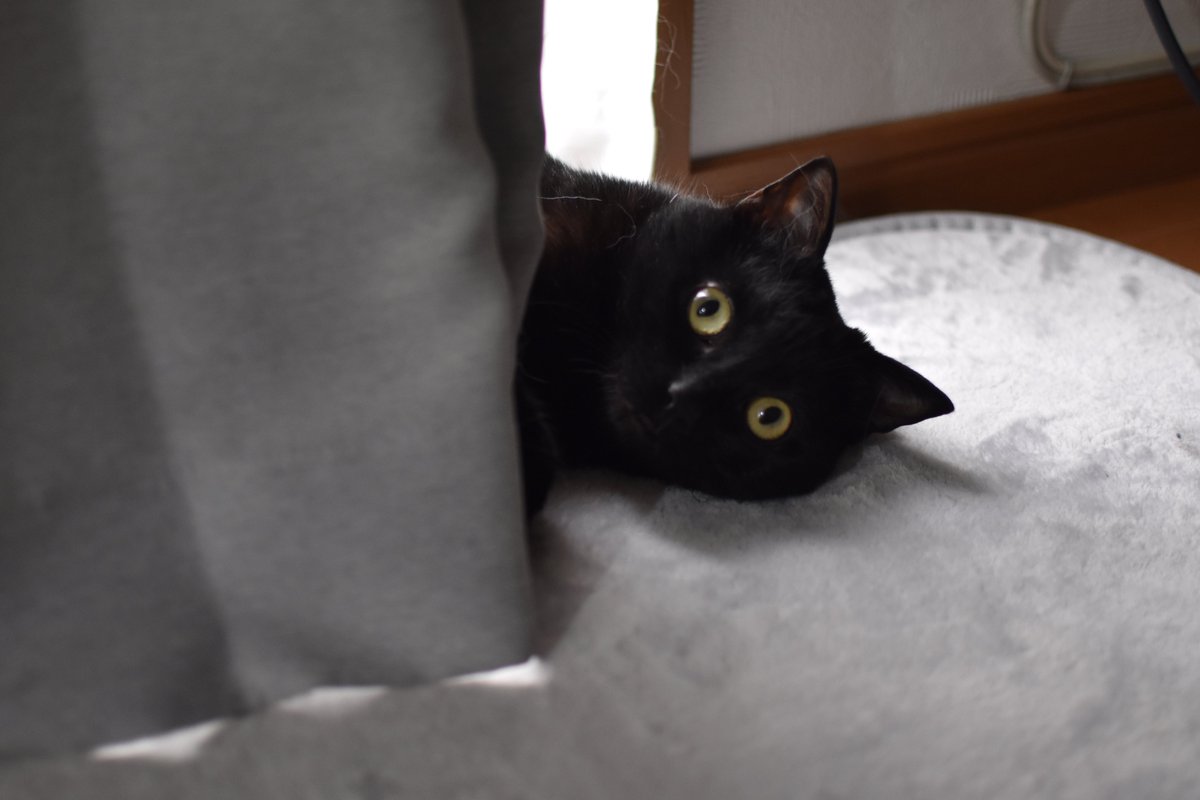 見てますよ‥👀