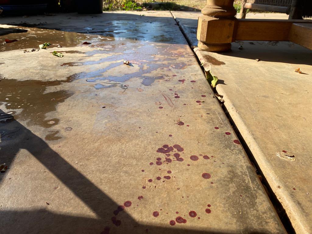 JacoKleynhans's tweet photo. President Ramaphosa: “there are no killings of farmers … in South Africa”
How much proof do you need @CyrilRamaphosa ? https://t.co/m4RWlLfMD9