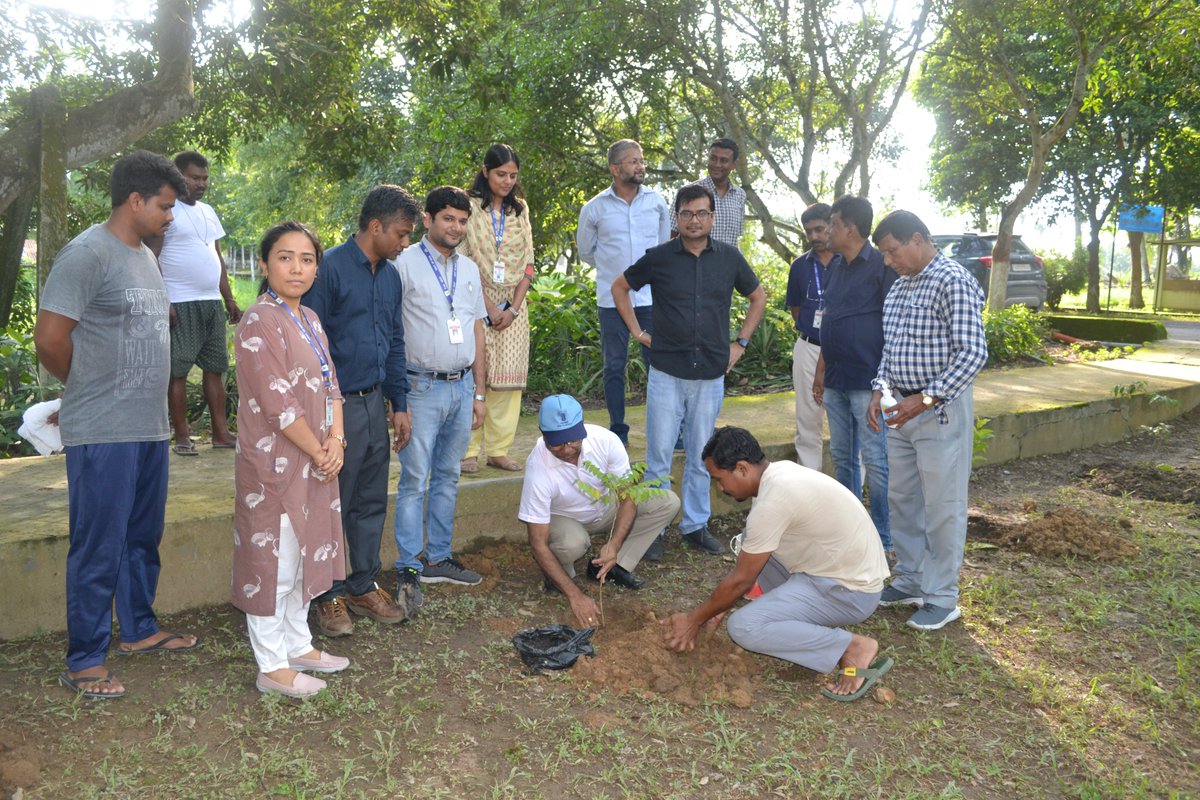 nrcpig's tweet photo. World Environment Day was celebrated on 5th June 2025 at ICAR-NRC on Pig, Rani, Guwahati with a cleaning drive and plantation programme. Staff and scientists actively participated, supporting the global theme #BeatPlasticPollution.
@icarindia
@AgriGoI
@ChouhanShivraj
@mygovindia https://t.co/olWHapTosk