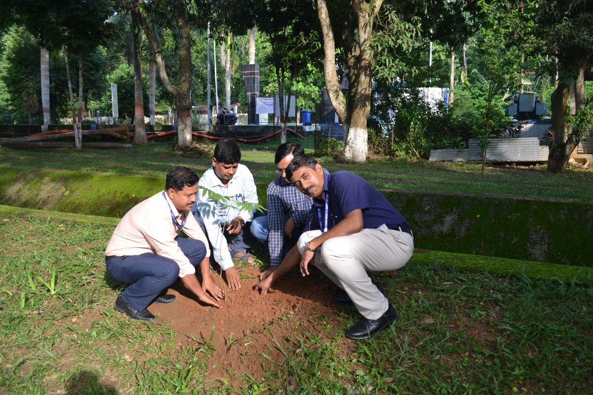 nrcpig's tweet photo. World Environment Day was celebrated on 5th June 2025 at ICAR-NRC on Pig, Rani, Guwahati with a cleaning drive and plantation programme. Staff and scientists actively participated, supporting the global theme #BeatPlasticPollution.
@icarindia
@AgriGoI
@ChouhanShivraj
@mygovindia https://t.co/olWHapTosk
