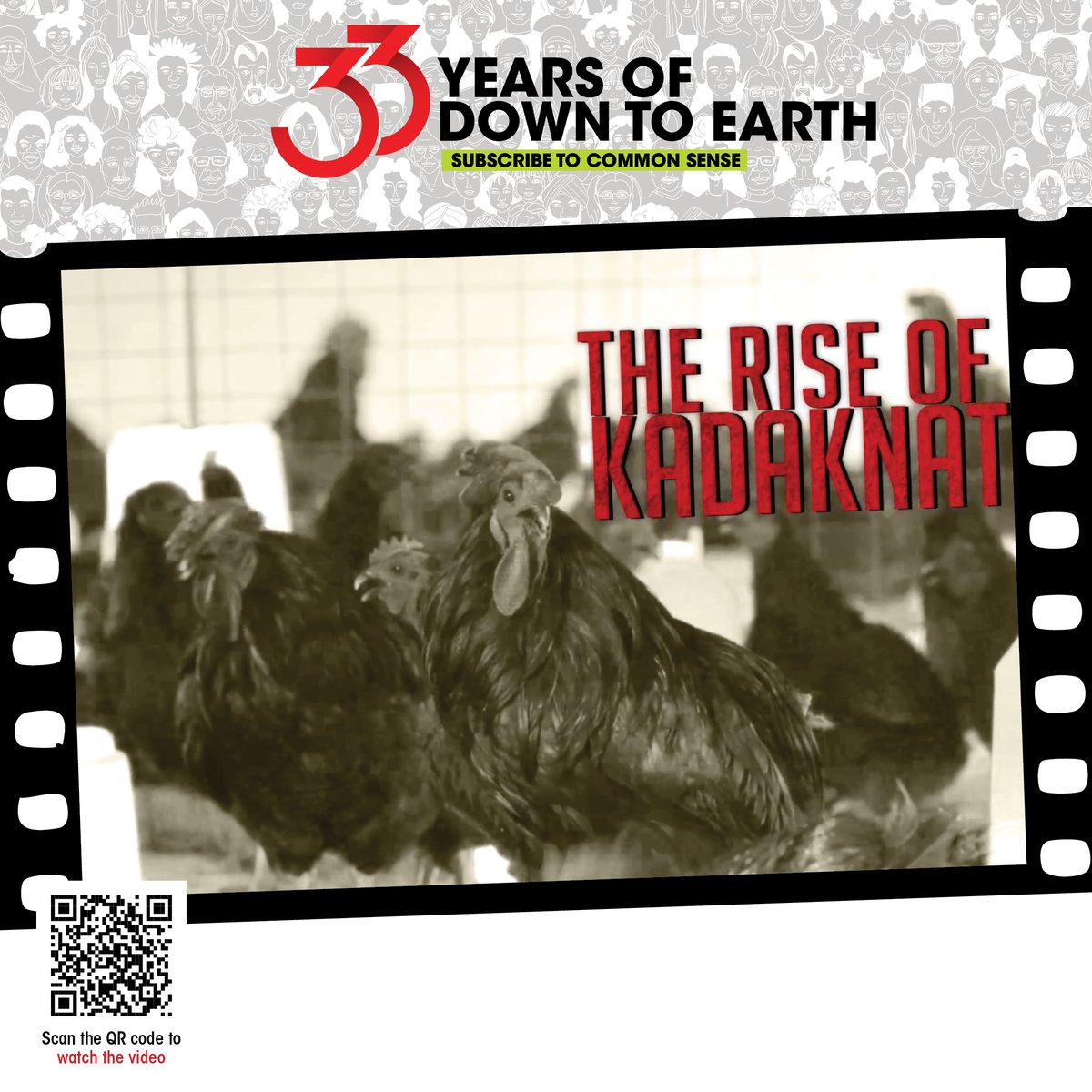 CSEINDIA (@cseindia) on Twitter photo <a href="/down2earthindia/">Down To Earth</a> <a href="/sunitanar/">Sunita Narain</a> <a href="/hindidown2earth/">Down To Earth Hindi</a> <a href="/Rajit1313/">Rajit Sengupta</a> <a href="/KiranPande4976/">Kiran Pandey</a> <a href="/rohinikrish9/">Rohini Krishnamurthy</a> <a href="/shagun__k/">Shagun</a> <a href="/PulahaRoy/">Pulaha Roy</a> <a href="/JoelMichaelhps/">Joel Michael</a> <a href="/sareen_rajneesh/">Rajneesh Sareen</a> <a href="/VivekChatto/">Vivek</a> 33 Years of Down To Earth | To celebrate the journey, weāre revisiting some of our most iconic videos by <a href="/down2earthindia/">Down To Earth</a> multimedia team.
š First up: Kadaknath ā The Return of the Black Chicken (2016)
š¬ Watch now: youtu.be/p3eONIXznSk?si⦠<a href="/down2earthindia/">Down To Earth</a> <a href="/sunitanar/">Sunita Narain</a> <a href="/hindidown2earth/">Down To Earth Hindi</a> <a href="/Rajit1313/">Rajit Sengupta</a> <a href="/KiranPande4976/">Kiran Pandey</a> <a href="/rohinikrish9/">Rohini Krishnamurthy</a> <a href="/shagun__k/">Shagun</a> <a href="/PulahaRoy/">Pulaha Roy</a> <a href="/JoelMichaelhps/">Joel Michael</a> <a href="/sareen_rajneesh/">Rajneesh Sareen</a> <a href="/VivekChatto/">Vivek</a> 33 Years of Down To Earth | To celebrate the journey, weāre revisiting some of our most iconic videos by <a href="/down2earthindia/">Down To Earth</a> multimedia team.
š First up: Kadaknath ā The Return of the Black Chicken (2016)
š¬ Watch now: youtu.be/p3eONIXznSk?siā¦