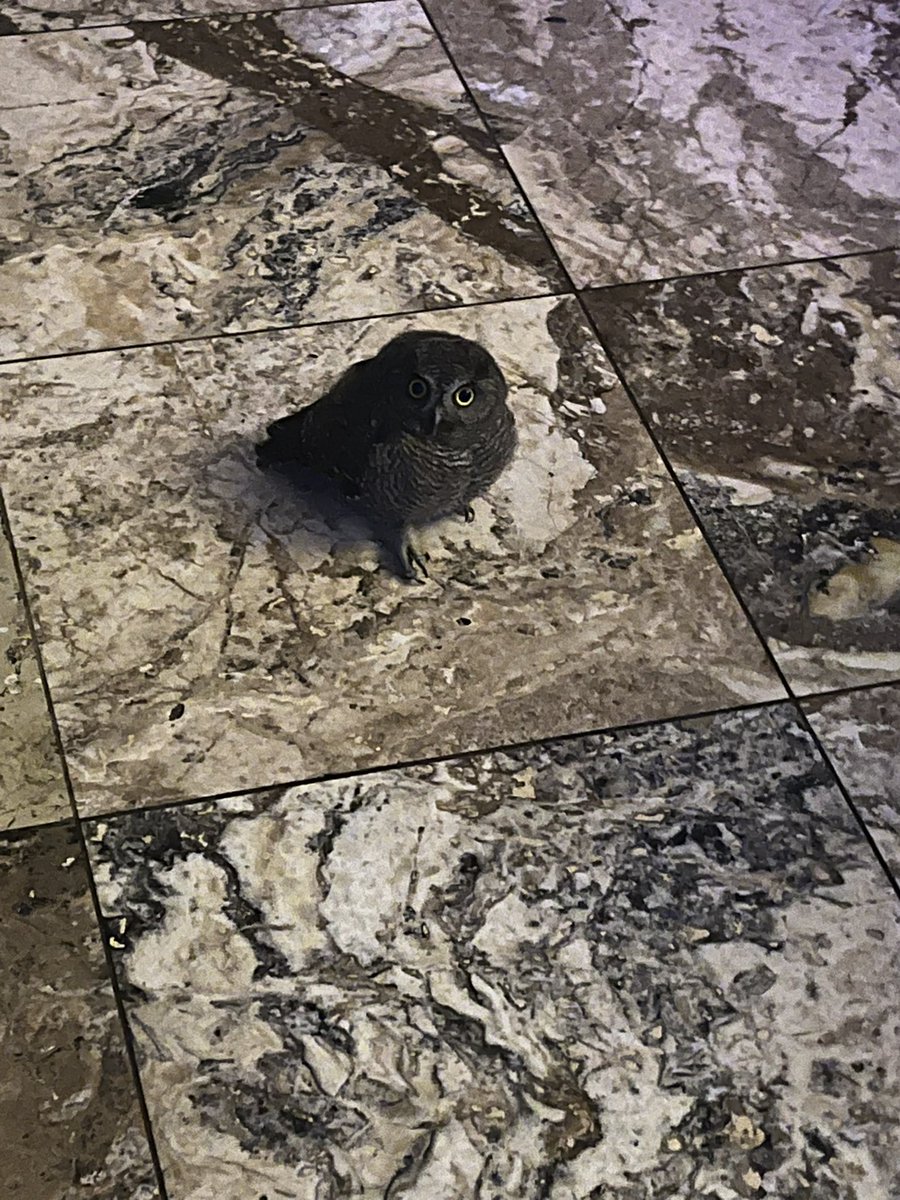 Michelle Warren tweet media