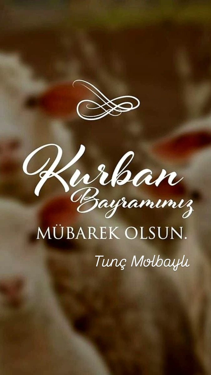 TUNCMOLBAYLI's tweet photo. #KurbanBayramı https://t.co/cf2k5GHsAy