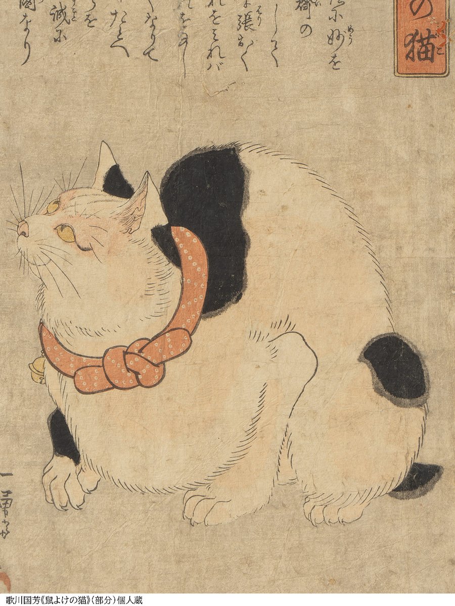 どのにゃんこが好き？🐱＞① ただいま開催中の特別展「Ukiyo-e猫百科