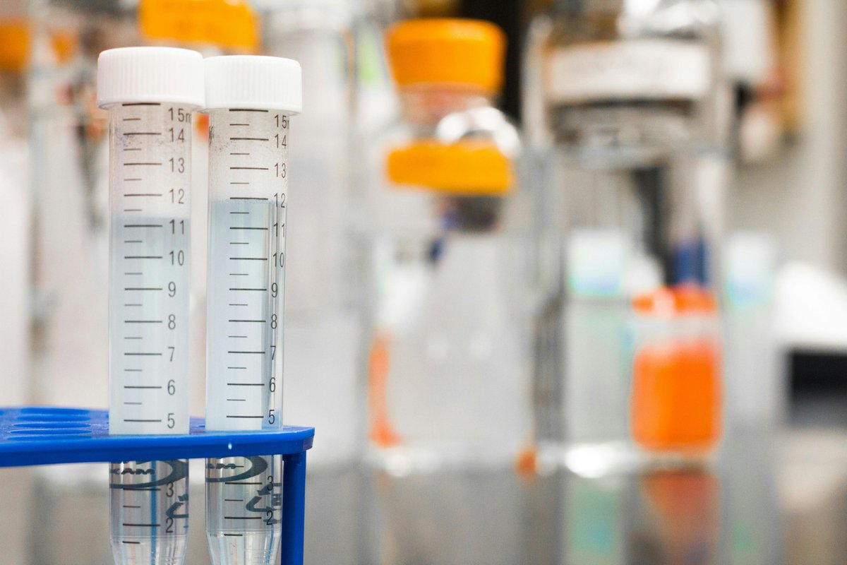 PHFScience's tweet image. Proactive risk assessment=safer food for Kiwis.
Thanks to ESR’s science-led modelling, NZ halved Campylobacter rates in just 2 years—&amp;amp; continues to lead in food safety.
Risk science saves lives, informs policy &amp;amp; offers peace of mind. esr.cri.nz/news-publicati…  #WorldFoodSafetyWeek