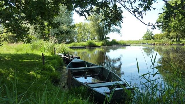 Superbe vue de la Brière #LoireAtlantique ma #Bretagne #BaladeSympa #MagnifiqueFrance