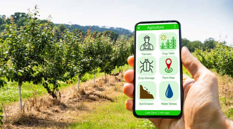 Dear Entrepreneurs and Investors,

Africa doesn’t need another damn food app. It needs dryers. Cold rooms. Processing plants. The unsexy, capital-heavy stuff no one wants to post on Instagram — but that’s exactly what keeps food from rotting 🧵