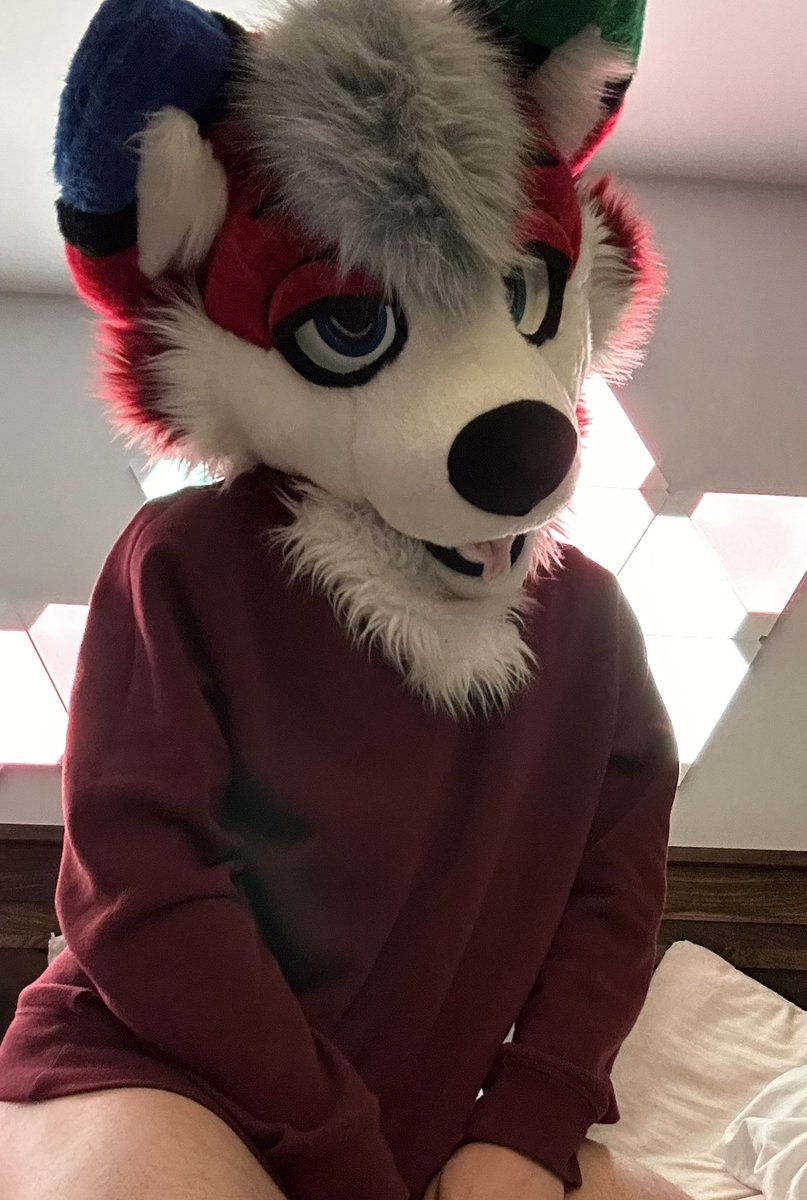 Monty 🔜 AC (@huskomonty) on Twitter photo 