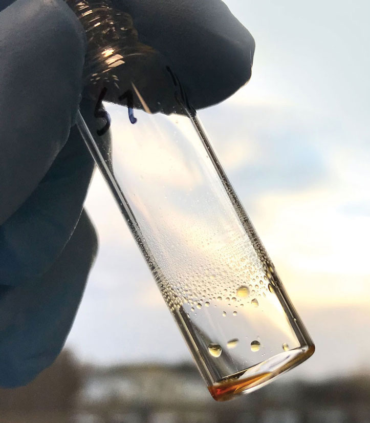 Residue on potsherds recovered from earthen mounds constructed up to 4,000 years ago at the coastal site of Pontal da Barra in Brazil’s Patos Lagoon estuary shows evidence of ancient feasts associated with fish and fermentation of alcoholic beverages.

archaeology.org/issues/may-jun…