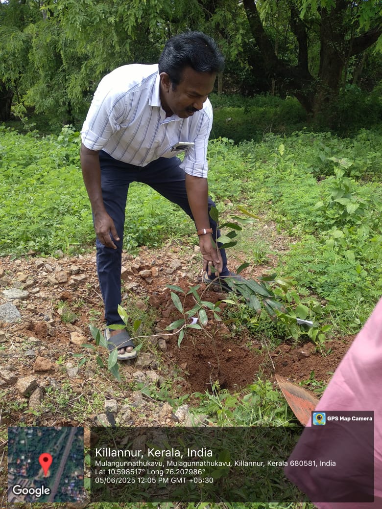 FCI DO Trissur (@fcidotrissur) on Twitter photo As a part of the International Environmental day celebration and "Ek Ped Ma Ke Naam" campaign, 53 tree saplings were planted at FSD/DO Mulakunnathukavu & 4 tree saplings at FSD Chalakudy on 5.6.25.
<a href="/FCI_India/">Food Corporation of India</a> <a href="/FciKerala/">FCI Kerala</a> <a href="/fcisouthzone_pr/">FCI ZO South</a> <a href="/fooddeptgoi/">Department of Food & Public Distribution</a> <a href="/PIBConsumerFood/">PIB India_Consumer_Food</a> <a href="/DARPG_GoI/">DARPG ๐ฎ๐ณ</a> As a part of the International Environmental day celebration and "Ek Ped Ma Ke Naam" campaign, 53 tree saplings were planted at FSD/DO Mulakunnathukavu & 4 tree saplings at FSD Chalakudy on 5.6.25.
<a href="/FCI_India/">Food Corporation of India</a> <a href="/FciKerala/">FCI Kerala</a> <a href="/fcisouthzone_pr/">FCI ZO South</a> <a href="/fooddeptgoi/">Department of Food & Public Distribution</a> <a href="/PIBConsumerFood/">PIB India_Consumer_Food</a> <a href="/DARPG_GoI/">DARPG ๐ฎ๐ณ</a>