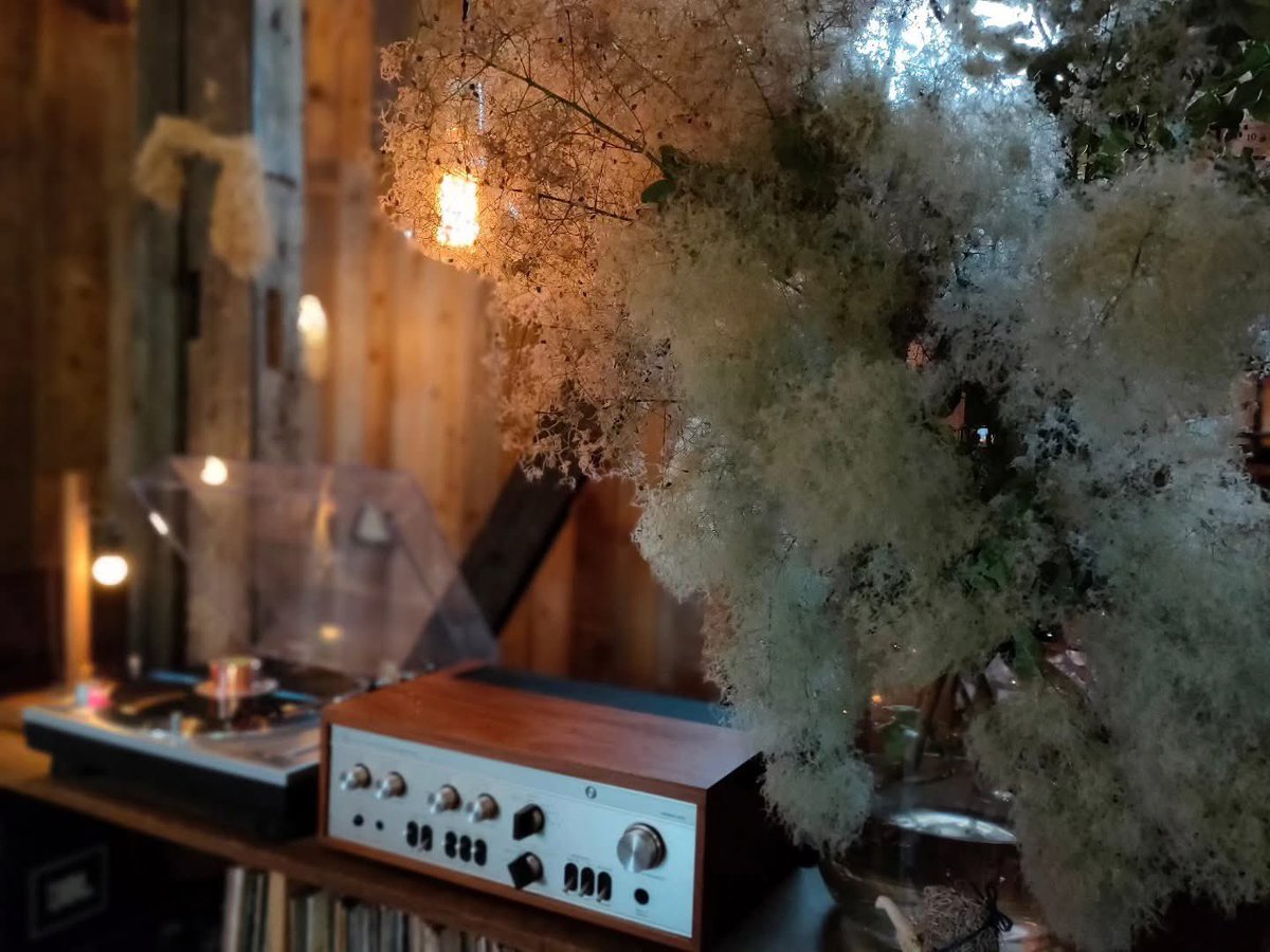 スモークツリーは山の上のお花屋さん「bezaleel(ベザレル)」さんにて
店内を彩ってくれる枝物の植物に心が躍ります
いつもありがとうございます！！

………
今週も6〜8(金土日)の3日間オープンしております
どうぞよろしくお願いいたします🌕🌕

※来週6/13〜15(金土日)はお休みです。