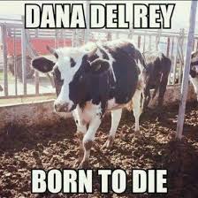 ceren🦕 (@uaremyonlyangel) on Twitter photo 