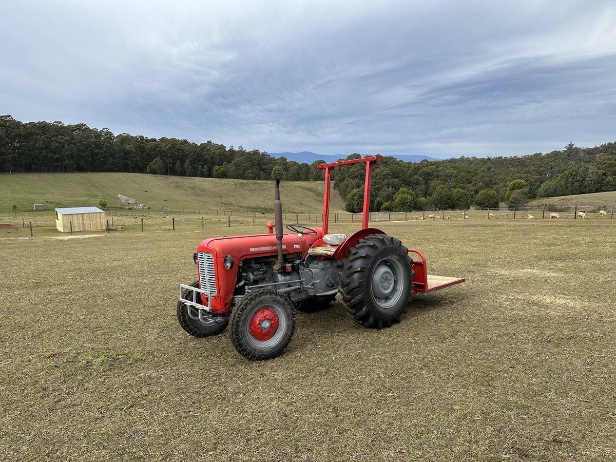 AntBA013's tweet image. The newest addition to the farm...
