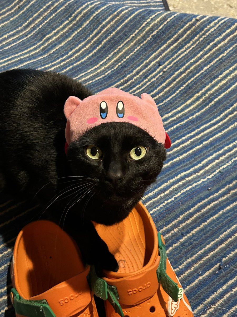 She hates the hats I got her :(