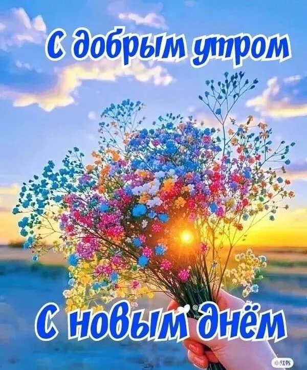 Татьяна Краузе tweet media