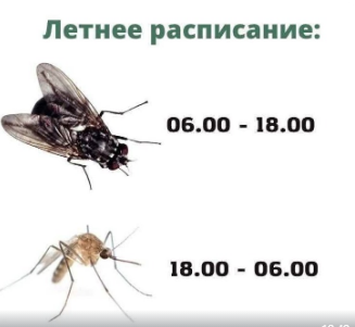 Борман (@borman783) on Twitter photo 