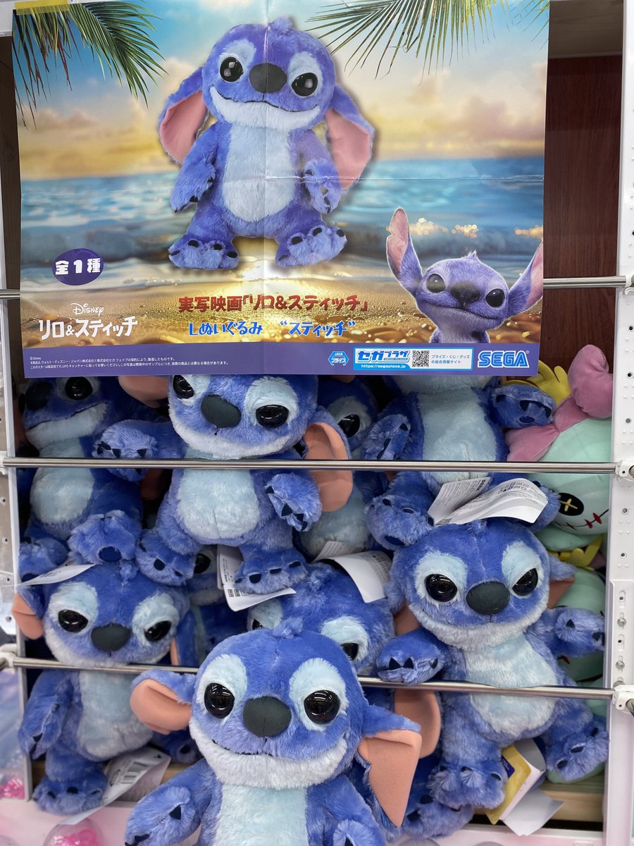 🏝️新景品入荷情報🌺 実写映画『リロ&スティッチ』Lぬいぐるみ