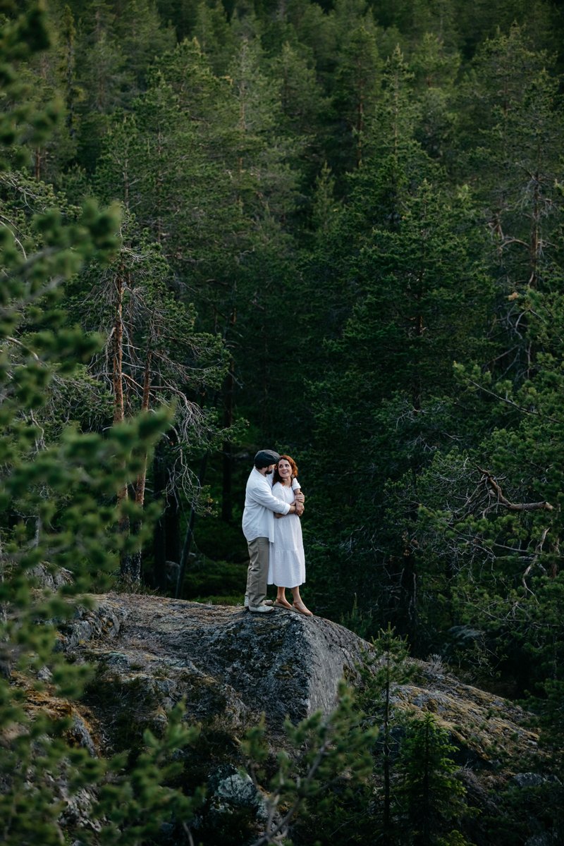 Arctic TreeHouse Hotel tweet media