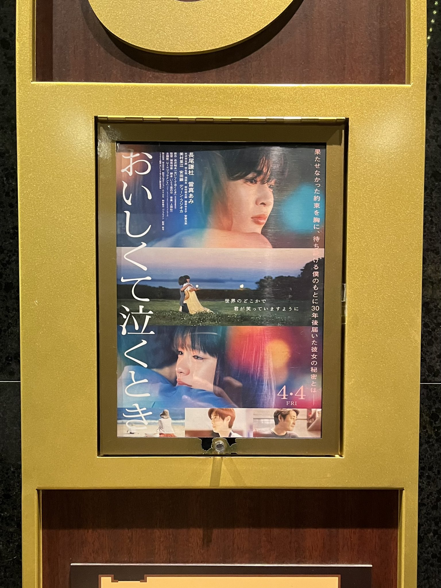 こだまたいち (@taichi_kodama) / X