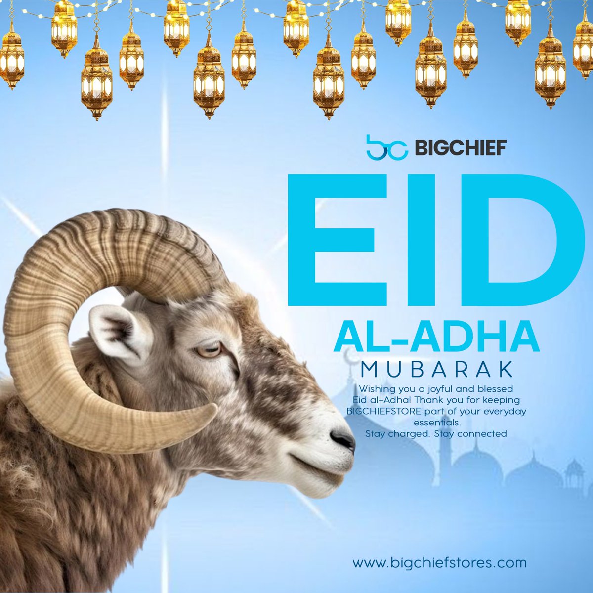 Big Chief Stores tweet media