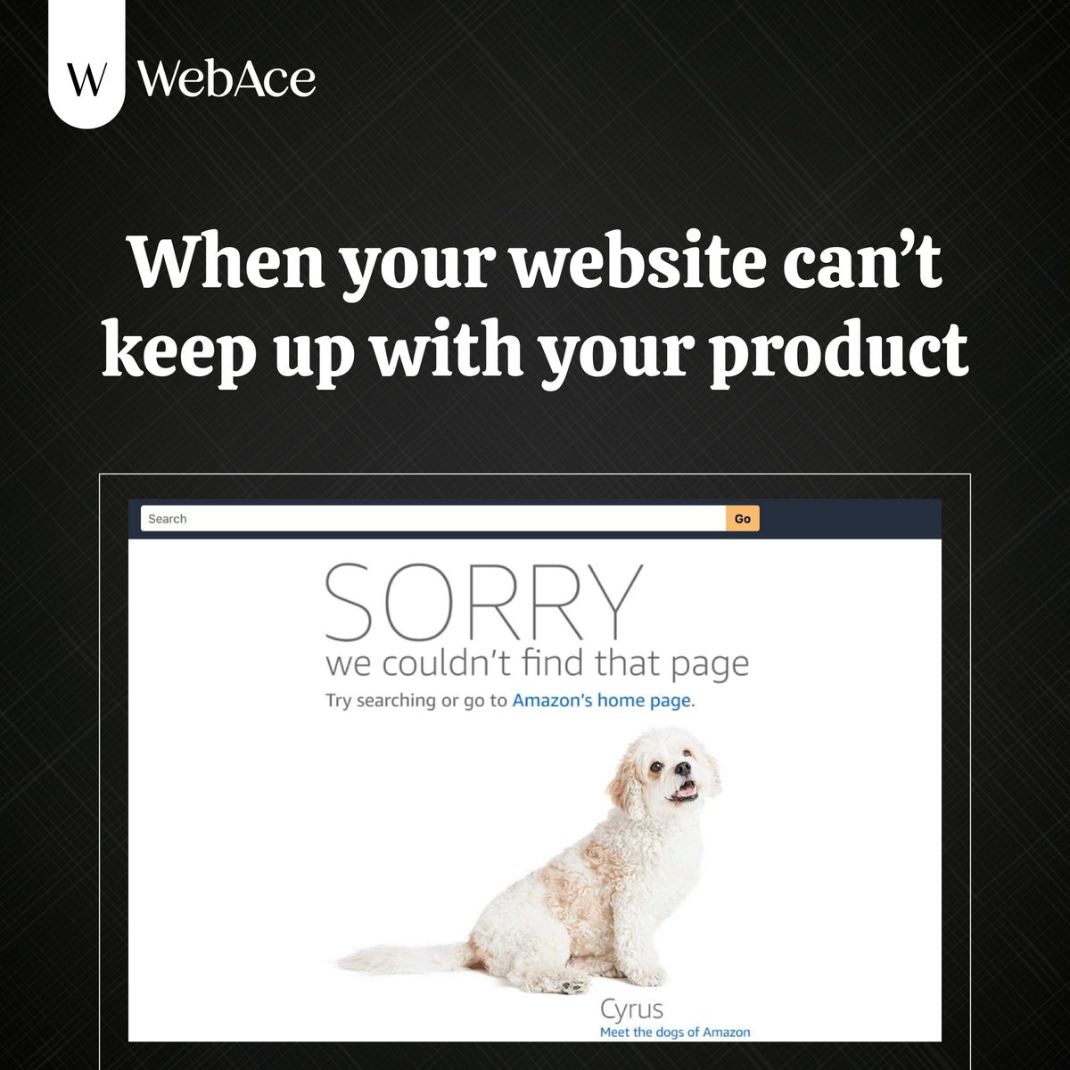 WebAce_India's tweet image. 📉 A bad site can undo a great product.
Don’t let 404s ruin your reputation.

♠️ At WebAce, we fix the flaws, speed things up, and make every click count.

#WebAce #WebsiteWoes #UXMatters #SiteSpeed #FixYour404