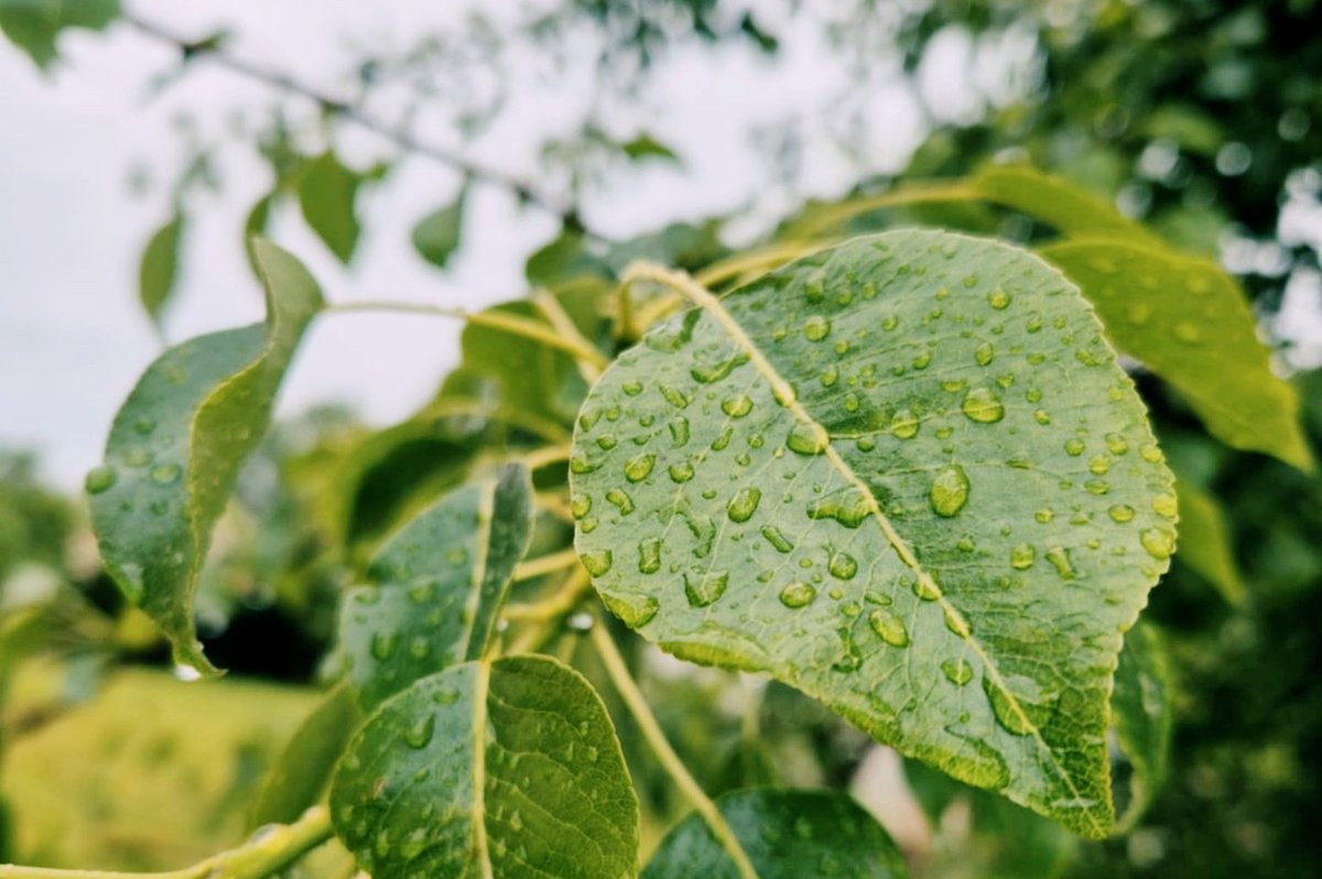 BNN-NEWS tweet media