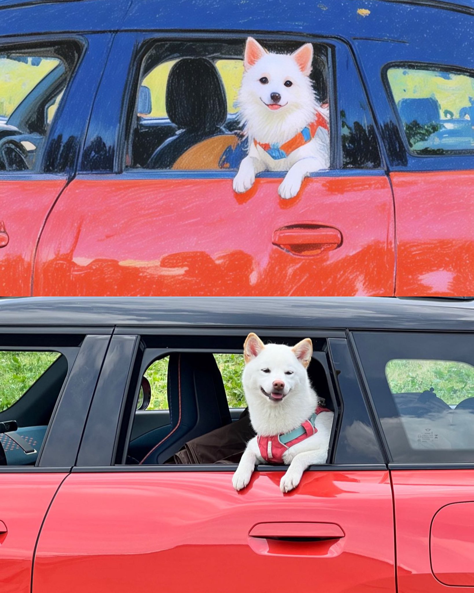 愛犬サンプル写真 5月13日は #愛犬の日 ひたちなか市には愛犬と楽しめるスポットが