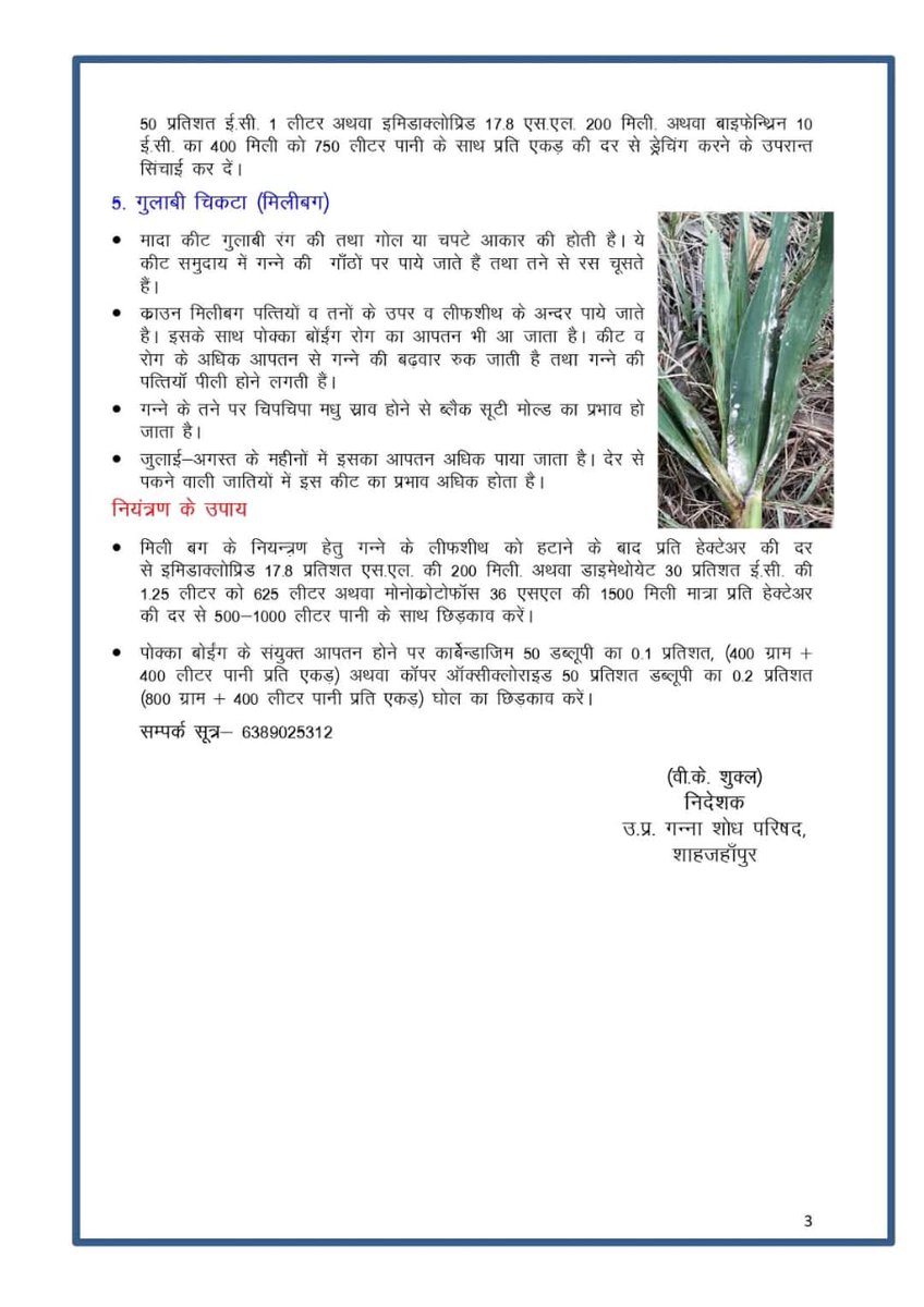 समसामयिक रोगों व कीटों से बचाव हेतु एडवायजरी।
<a href="/UPGovt/">Government of UP</a> <a href="/CMOfficeUP/">CM Office, GoUP</a> <a href="/myogiadityanath/">Yogi Adityanath</a> <a href="/LAXMINCHAUDHARY/">Laxmi Narayan Chaudhary BJP</a> <a href="/spshahibjp/">Surya Pratap Shahi</a> <a href="/UPCane/">Cane Development UP</a> <a href="/VKshukl83932426/">V. K shukla</a> <a href="/Sanjeev98674105/">S.K.Pathak</a>  <a href="/DyccBareilly11/">DyccRajivRai</a> <a href="/dyccfaizabad/">DyCC Ayodhya</a> <a href="/DyccGkp/">Dycc Gorakhpur</a> <a href="/dyccmbd/">dyccmbd</a> <a href="/DyccMeerut/">DYCCMeerut</a> <a href="/OPSINGHDycc/">Om Prakash Singh Dycc Saharanpur उप गन्ना आयुक्त</a> <a href="/CaneDistrict/">District cane officer Pilibhit</a> <a href="/DcoSpn/">District Cane Office ,Shahjahanpur</a>