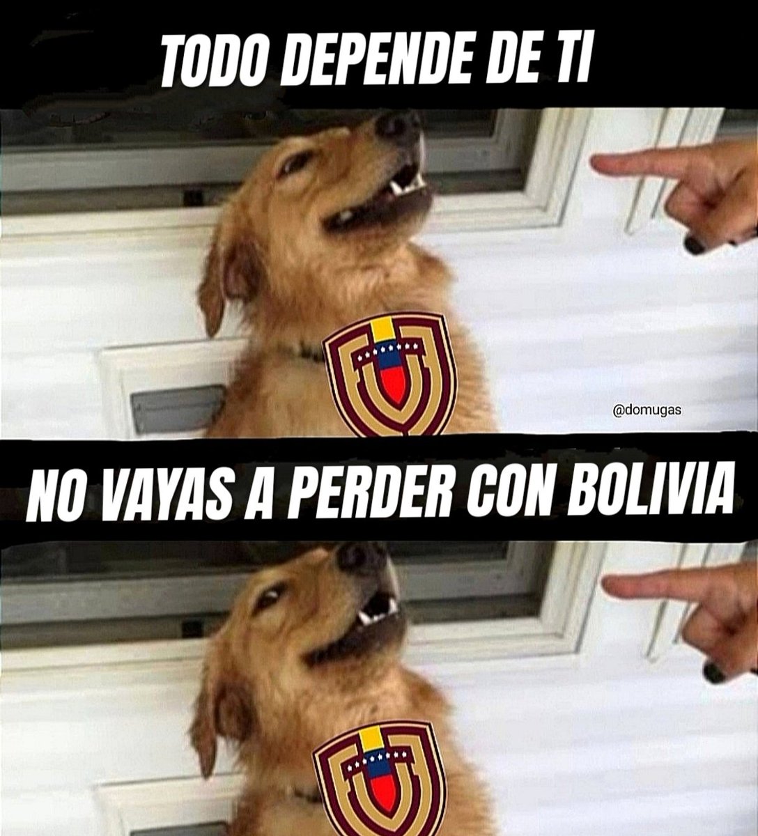 Se nos viene nuestra película favorita | LA VINOTINTO ✨⚽