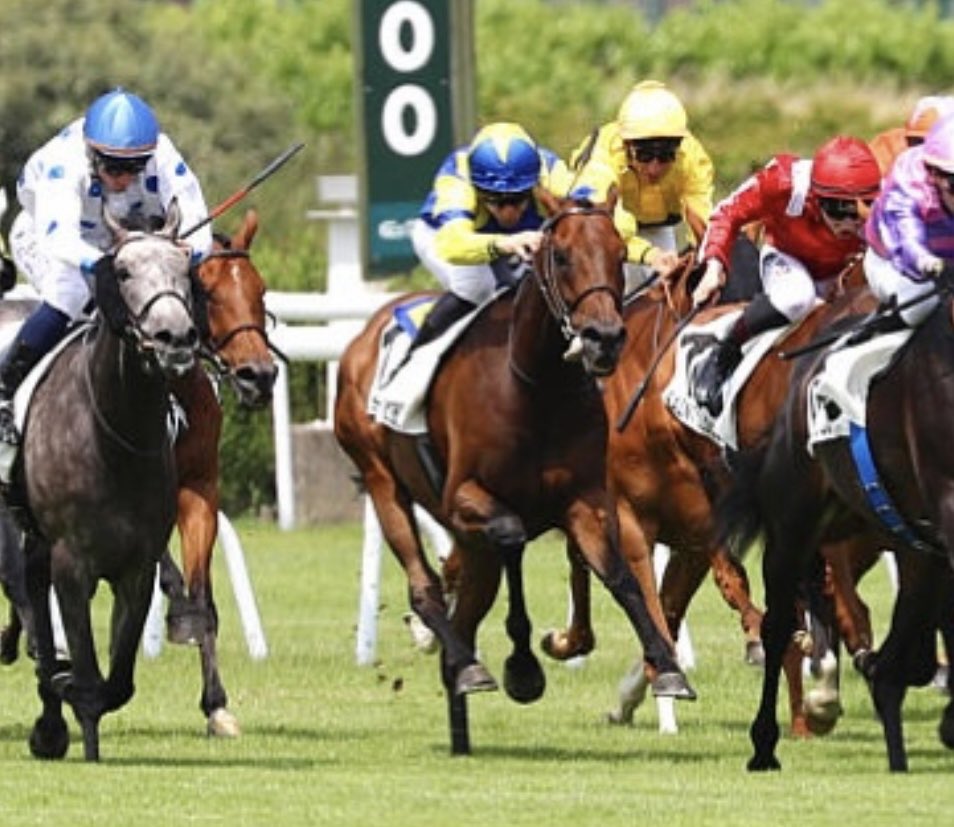 🌟100%🌟 on Tuesday at St Cloud🇫🇷 Quinté:

- 4️⃣ #LorenzoDeMedici🐎 - Adrien Fouassier

Photo: <a href="/AprhChantilly/">Aprh</a> 

Agents:

Lisa Pauwels🇧🇪
<a href="/Benjhub/">Benjamin Hubert</a>🇫🇷