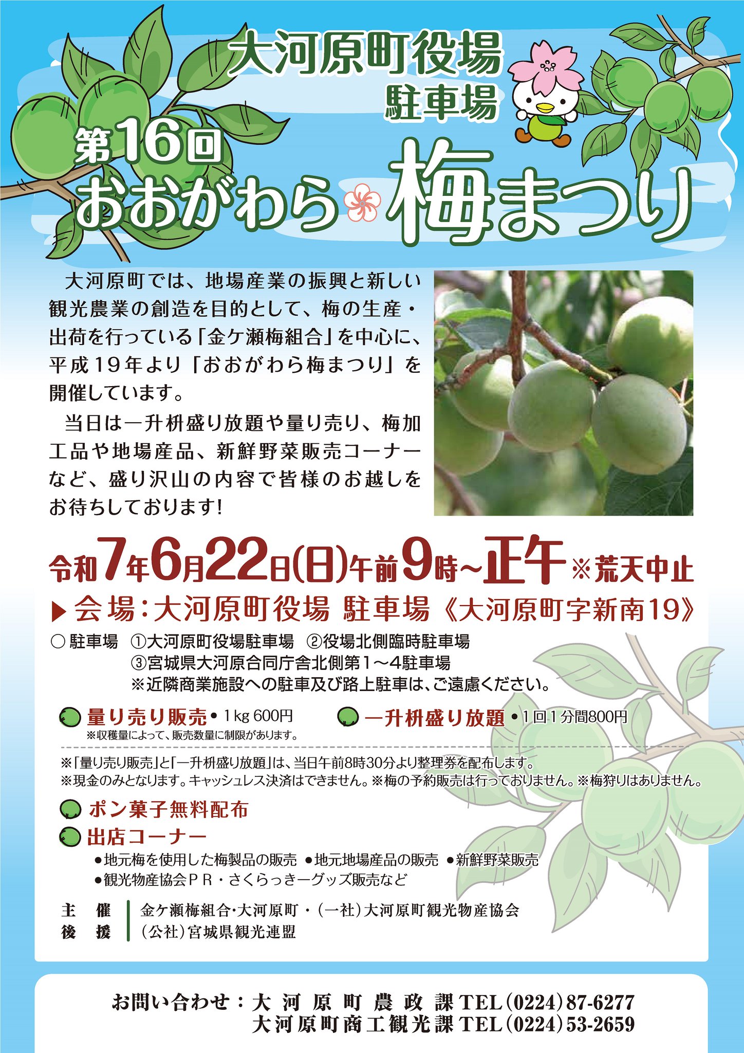 愛称板　おおぞら　おおとり　⭕️函 鉄道方向幕 特急おおとり 函館駅 | 鉄道系ブログ whistle