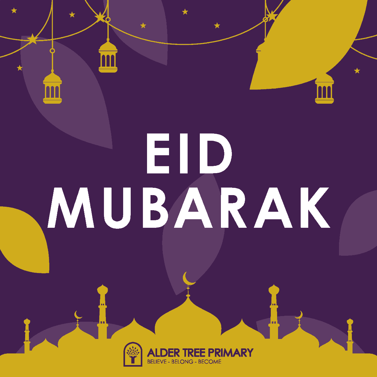 Alder Tree Primary tweet media