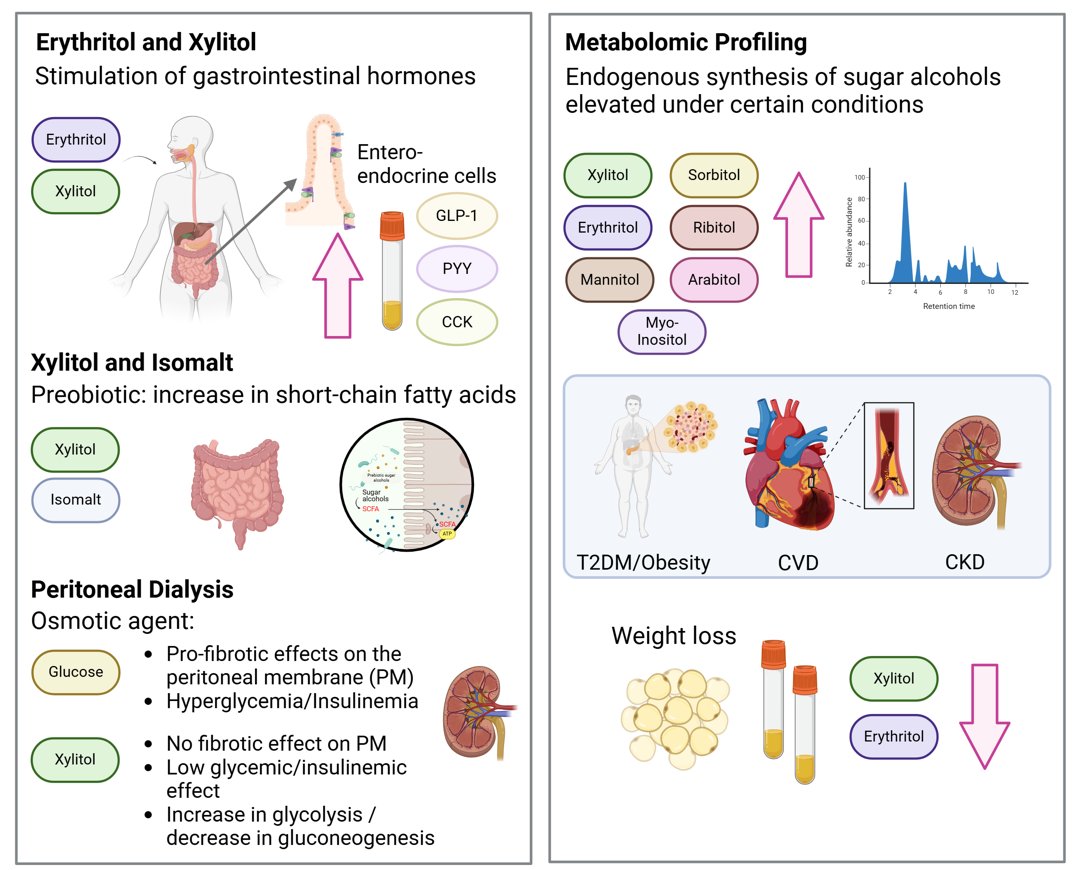 European Society of Cardiology Journals (@esc_journals) on Twitter photo Sweeteners: friend or foe?
Must-read #CardiovascularResearch Review explores erythritol, xylitol and #cardiovascular risk - examining effects on platelet aggregation, metabolomic profiling & more ow.ly/UovB50W3WjS
<a href="/CVR_TomaszGuzik/">CVR Tomasz Guzik</a> <a href="/glenpyle/">Glen Pyle | #WomensHeartHealth ❤️🩹🖇️</a> <a href="/DrMikeDrozd/">Mike Drozd</a> <a href="/Sarah_KBrown/">Sarah Brown</a> #CVR Sweeteners: friend or foe?
Must-read #CardiovascularResearch Review explores erythritol, xylitol and #cardiovascular risk - examining effects on platelet aggregation, metabolomic profiling & more ow.ly/UovB50W3WjS
<a href="/CVR_TomaszGuzik/">CVR Tomasz Guzik</a> <a href="/glenpyle/">Glen Pyle | #WomensHeartHealth ❤️🩹🖇️</a> <a href="/DrMikeDrozd/">Mike Drozd</a> <a href="/Sarah_KBrown/">Sarah Brown</a> #CVR