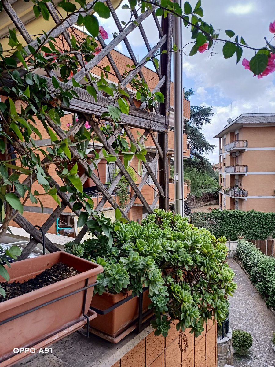 A tutti voi auguro una serena giornata, con affetto

♥️