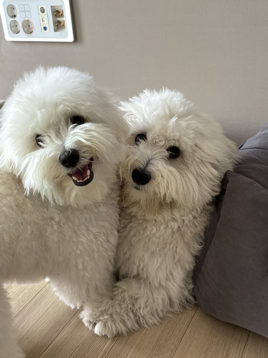 아르르~~~                          앗 사진(미소)