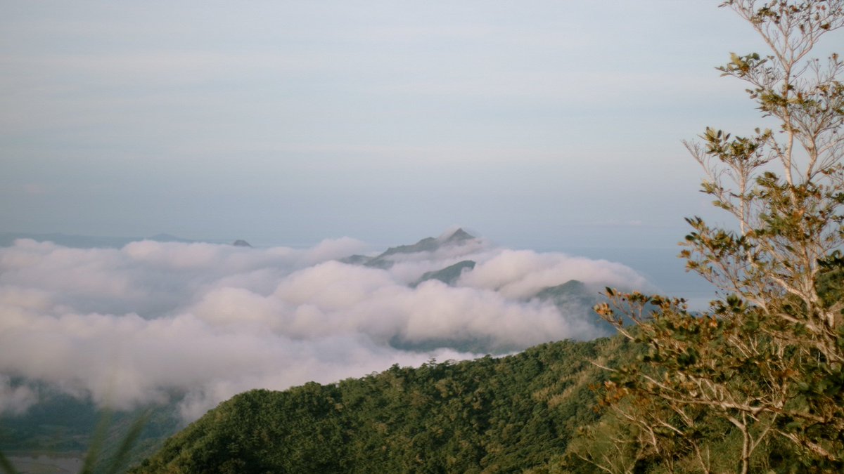 engr_markxtian's tweet image. 