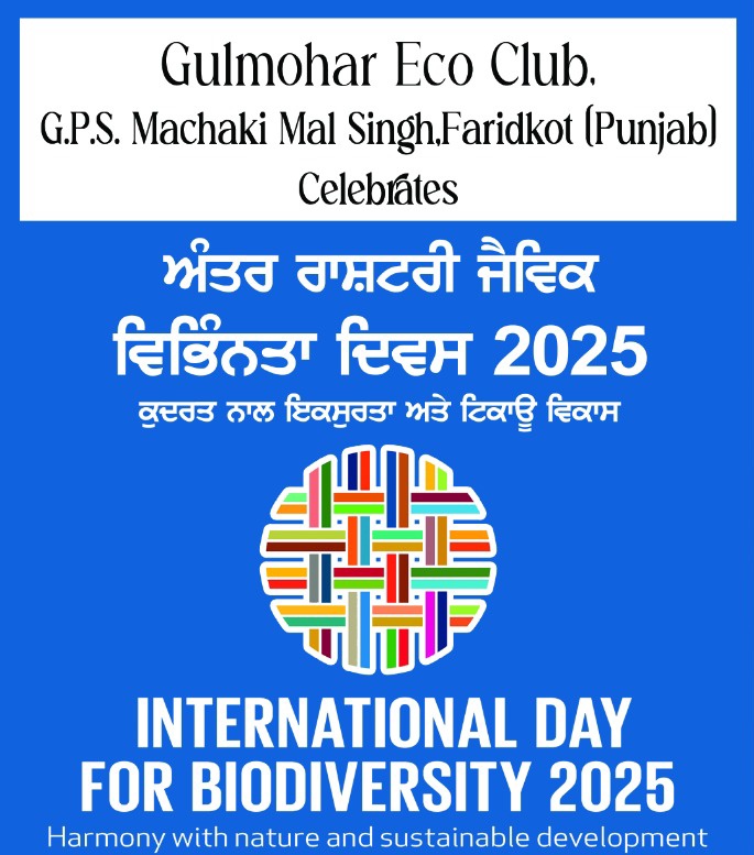 GulmoharEco's tweet photo. Celebrated #IDB2015 in the serene wilderness of twin canals, rural souls gather—discussing wild medicinal plants with reverence. Each leaf holds a tale, each root a cure. @PritpalPSCST @GurharminderS @PBB_GoP @NationalBiodiv @UNBiodiversity @PSCST_GoP @moefcc https://t.co/WAbUNstOiZ