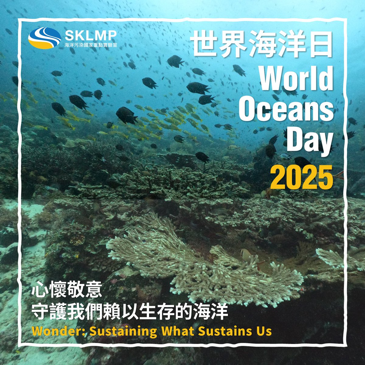 The ocean sustains billions of lives, but overexploitation and resource depletion pose significant threats to marine biodiversity. The theme of this year’s World Oceans Day is "Wonder: Sustaining what sustains us". Let's unite in safeguarding our marine ecosystems.
