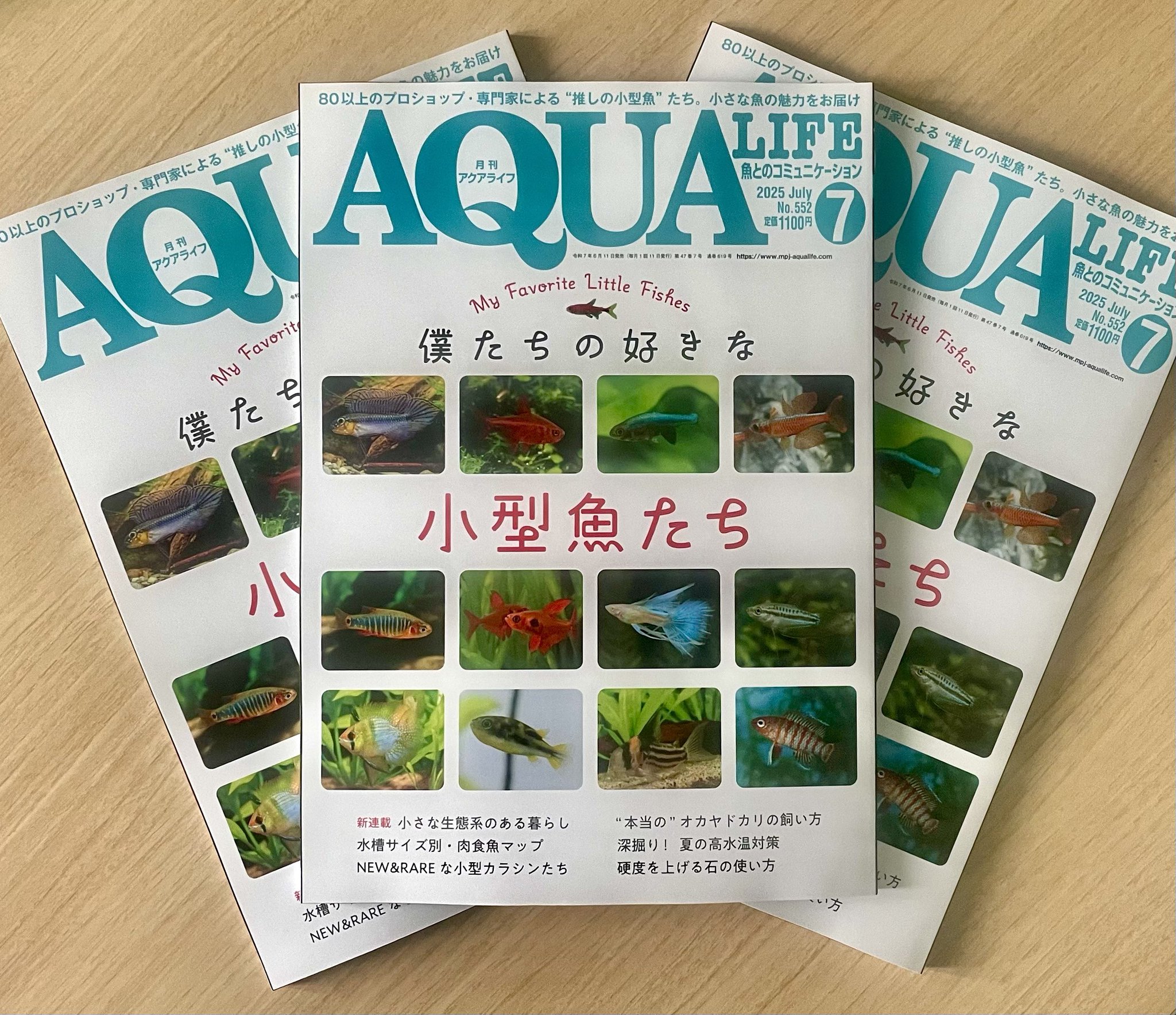 【専用】月刊アクアライフ 2011〜2014年1〜12（No.378〜425） 月刊 アクアライフ2013年1月2013年最新熱帯魚図鑑500 付属の