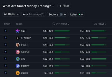 Smart Money is surging into Internet Capital Markets tokens. $KNET, $STARTUP, and $PCULE lead 24h inflows, while $AVO dominates on the 7-day horizon despite quieter daily action. Meanwhile, $YAPPER and $BUDDY are steadily accumulating, signaling sustained investor interest beyond