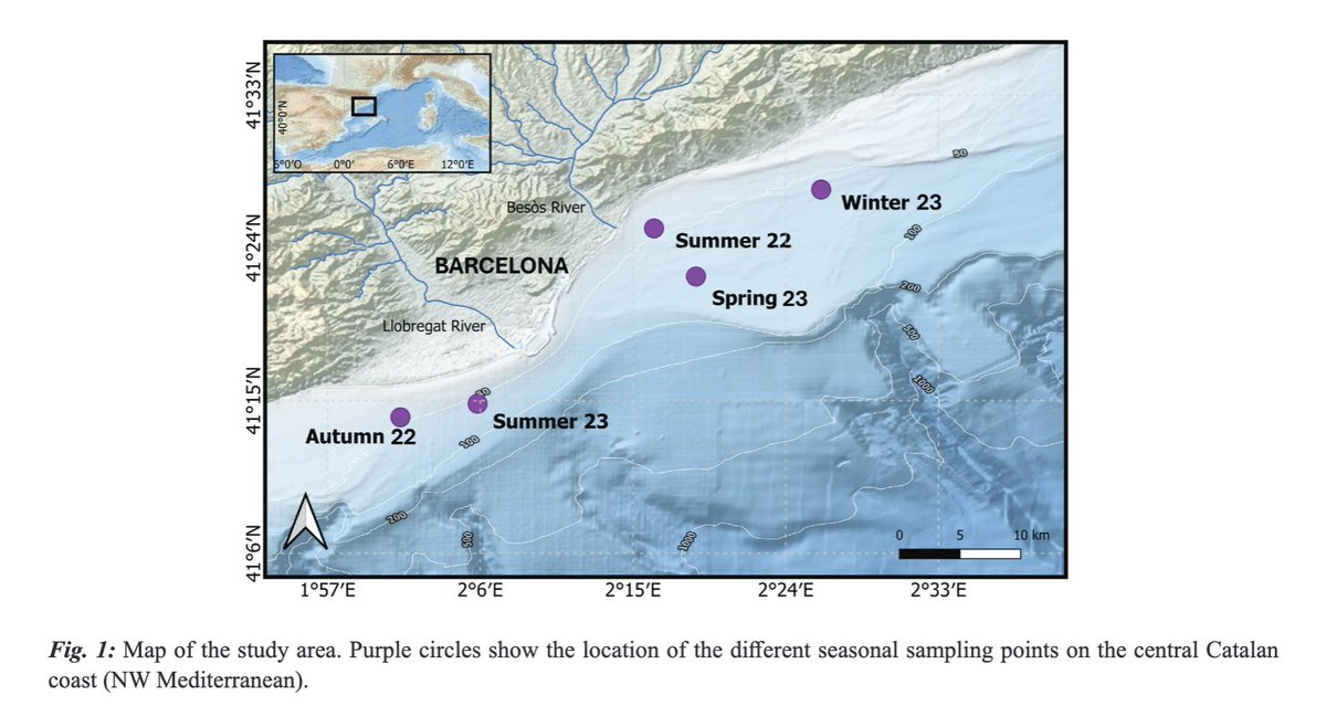 MUNS-PUJADAS, L., CONSTENLA, M., DALLARÉS, S., SOLER-MEMBRIVES, A., PADRÓS, F., &amp; SALA, R. (2025). The round sardinella (Sardinella aurita Valenciennes, 1847) from the NW Mediterranean: a healthy and safe choice for human consumption. doi.org/10.12681/mms.3…