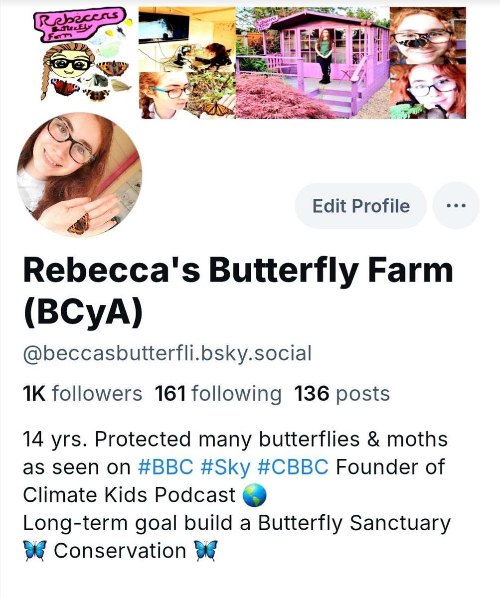 Rebecca's Butterfly Farm (BCyA) (@beccasbutterfli) on Twitter photo Ive reached 1K, whoop whoop! Thank you to everyone who has followed me so far on <a href="/bluesky/">bluesky</a> 
Here's the link bsky.app/profile/beccas⦠
Have a  great day everyone π¦ Ive reached 1K, whoop whoop! Thank you to everyone who has followed me so far on <a href="/bluesky/">bluesky</a> 
Here's the link bsky.app/profile/beccas⦠
Have a  great day everyone π¦