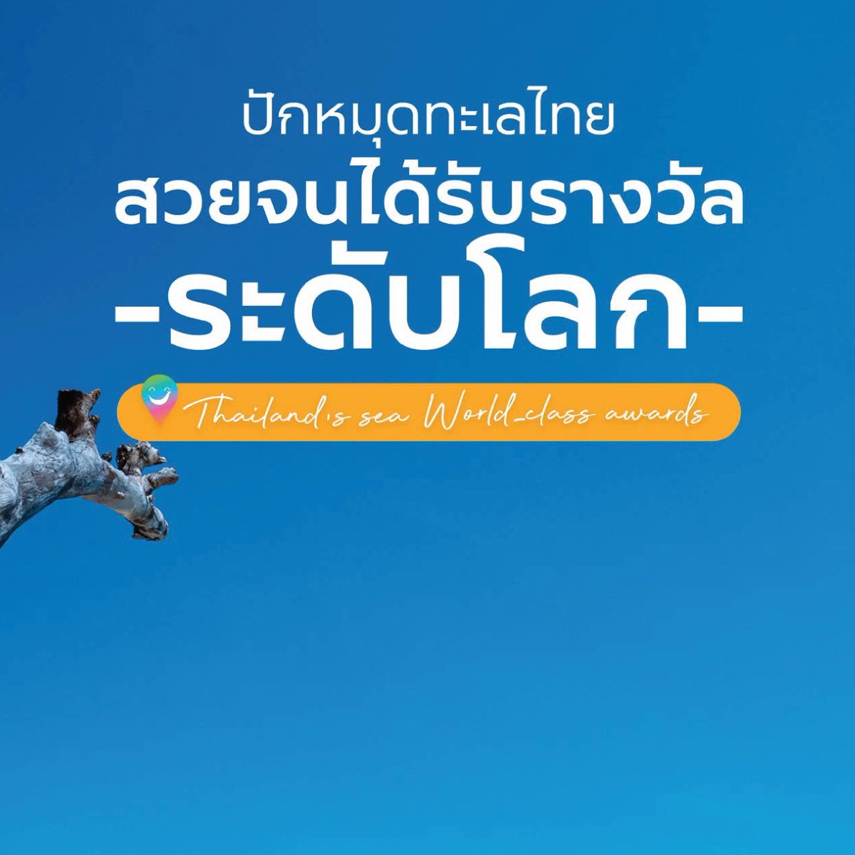 The TravelRoute tweet media