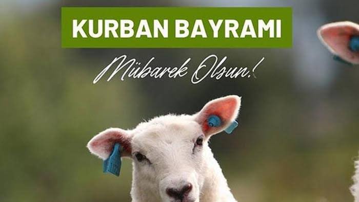 Dmr evli (@dmrevli) on Twitter photo 