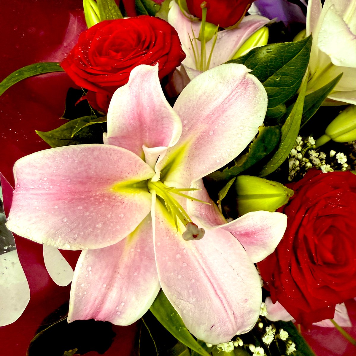 En ce jour de l’Aïd, je vous souhaite paix intérieure, santé, et moments de partage avec ceux que vous aimez. Que la paix, la sagesse et l’humanité l’emportent partout où règnent l’injustice et la douleur.