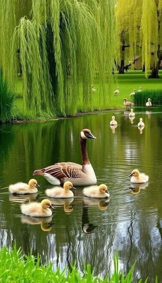 Nature beauty ❤️🌿☀️