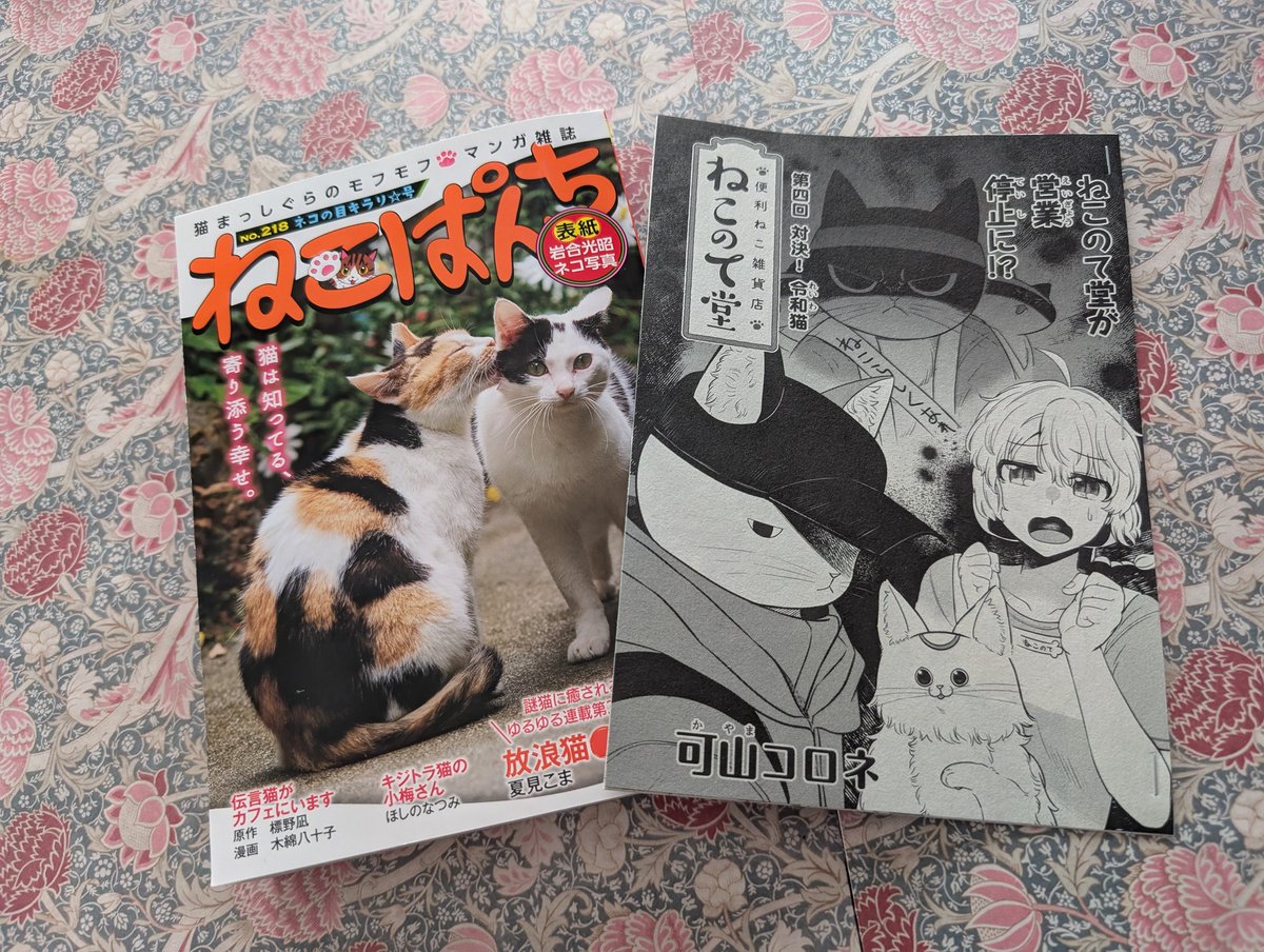 【はこぽす対応商品】 可山 コロネ on X:  コスプレ衣装