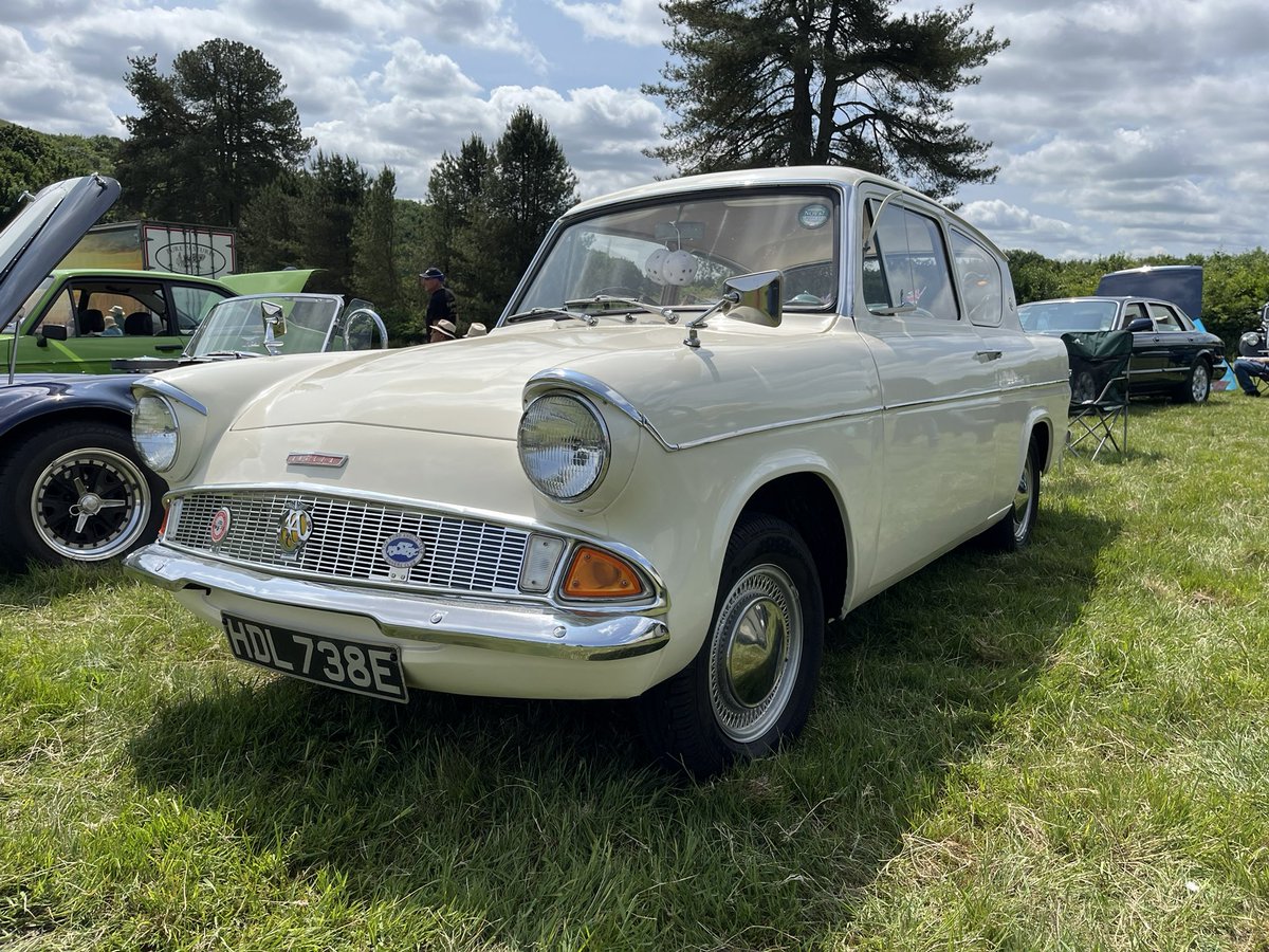 Judith Sheen tweet media