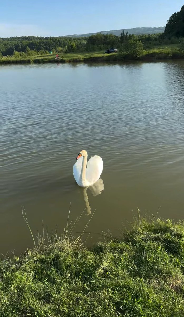 Красота, воздух, природа.